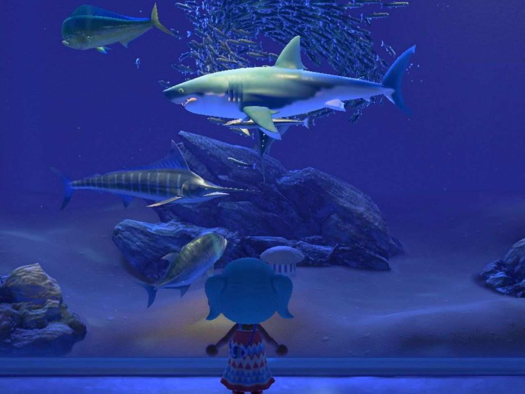 animal crossing new horizons animali marini ottobre 2025