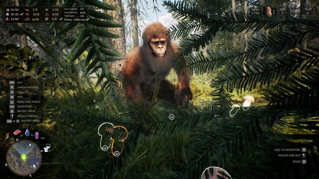 bigfoot life