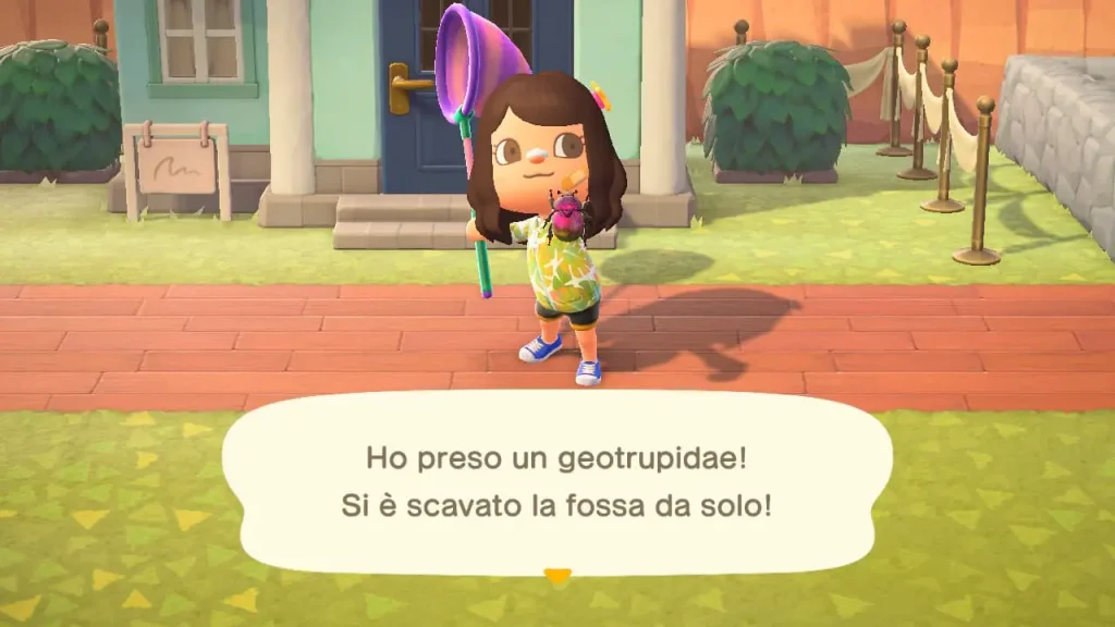 quali insetti puoi catturare a novembre in animal crossing: new horizons?