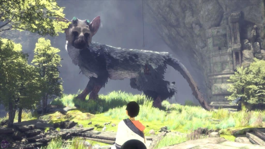 the last guardian