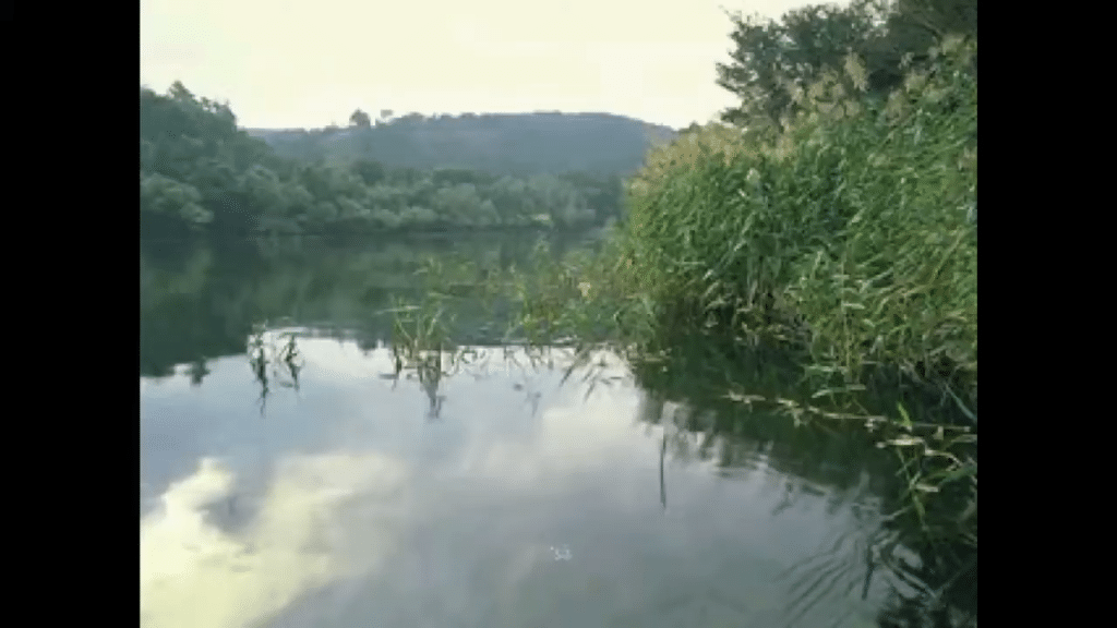 reel-fishing-playstation-gioco-pesca-retro