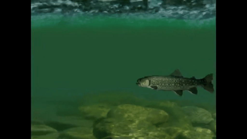 reel-fishing-playstation-gioco-pesca-retro