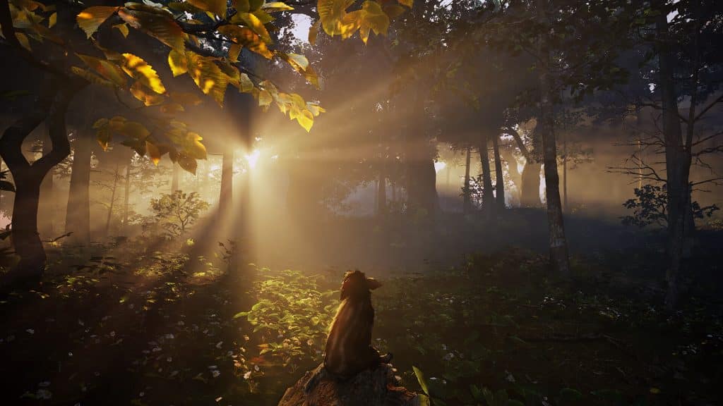 screenshot - adorable adventures