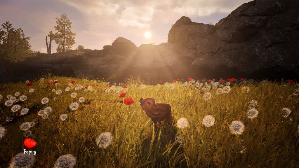 screenshot - adorable adventures