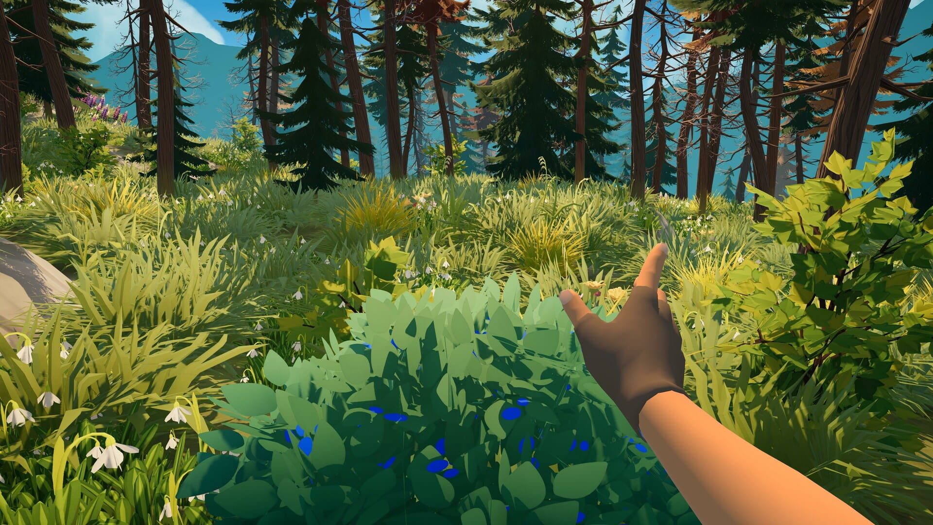 outbound recensione: una casa su ruote che rallenta il tempo