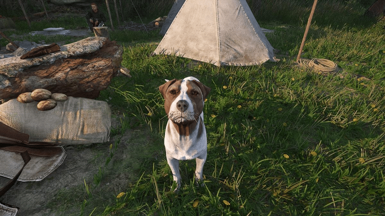 Kingdom Come Deliverance 2: dove trovare Mutt subito e saltare la lunga ricerca