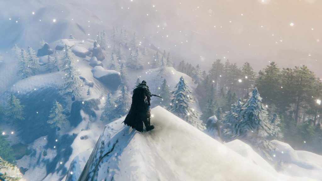 valheim 1.0 deep north